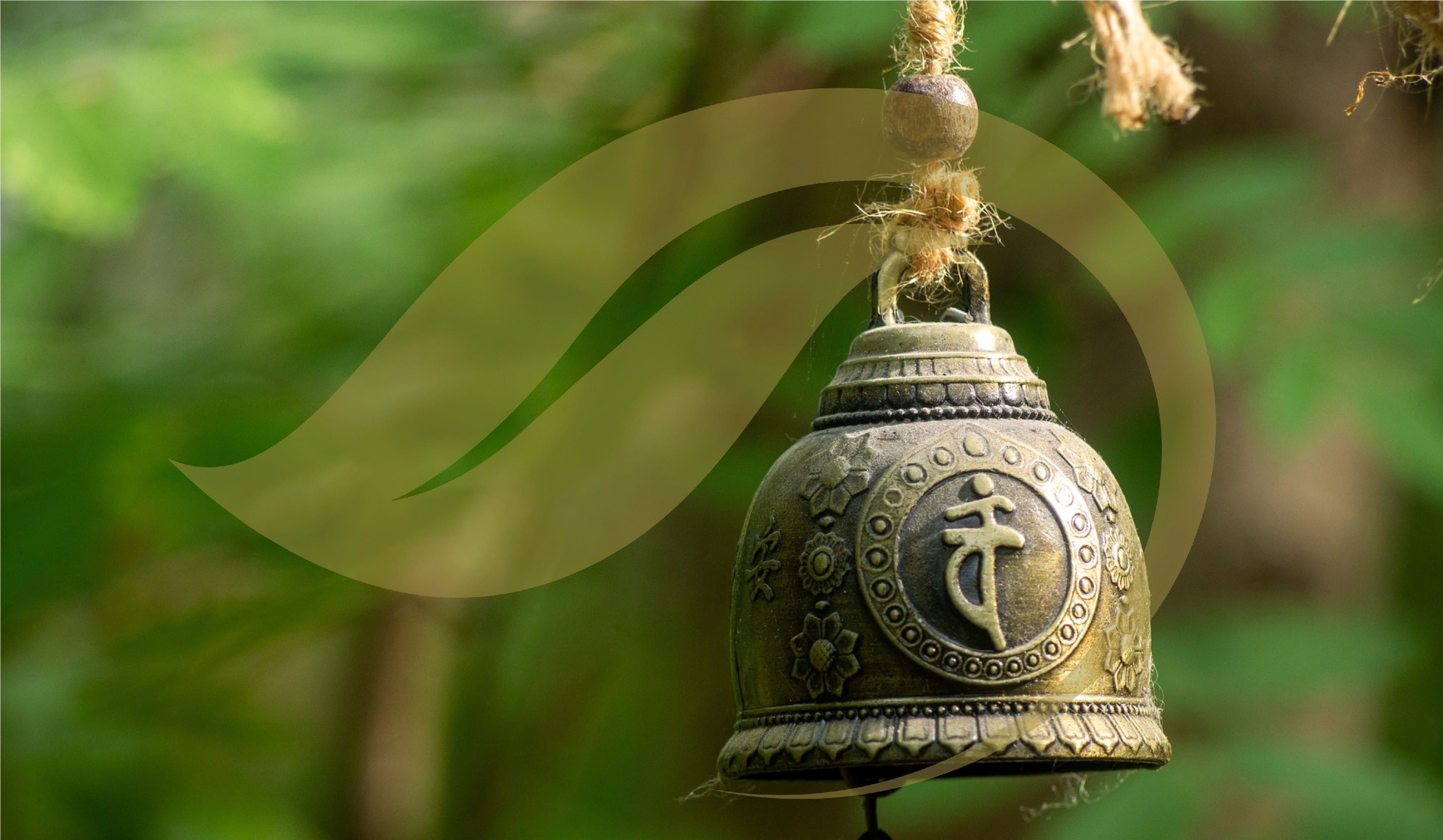 IGINP Logo or Banner