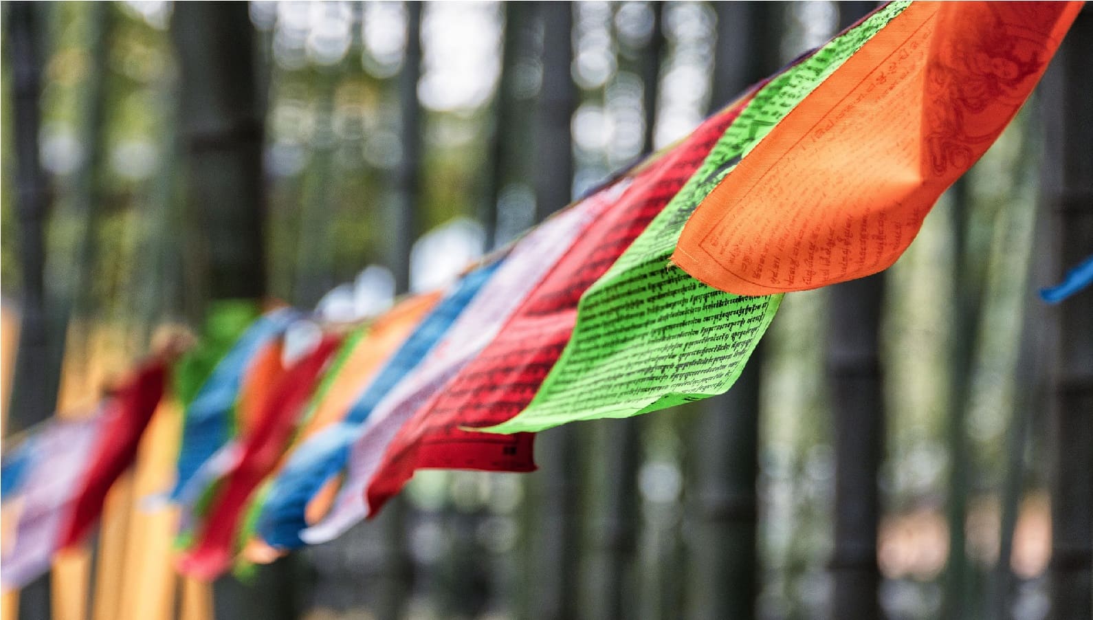 IGINP Logo or Banner
